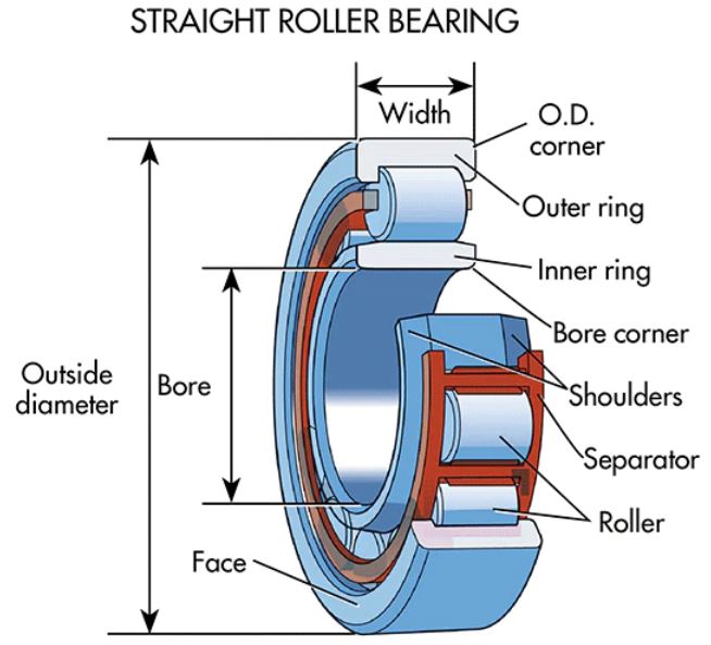 straight roller bearing