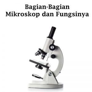 Bagian-bagian mikroskop beserta fungsinya