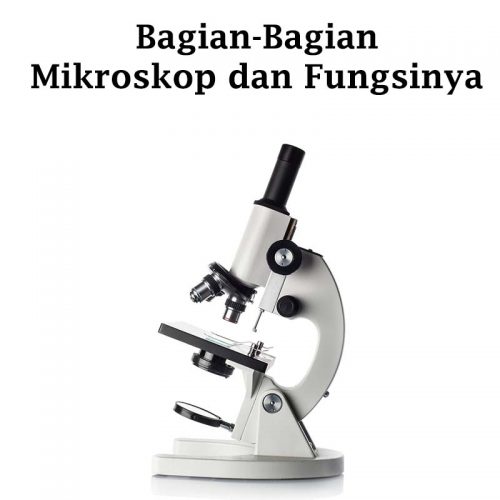 Bagian-bagian mikroskop beserta fungsinya