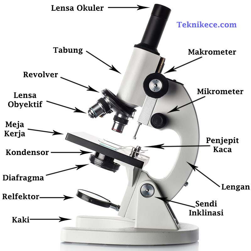 gambar bagian bagian mikroskop dan fungsinya