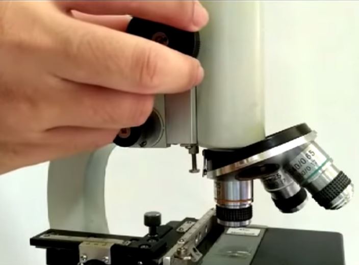atur mikroskop menggunakan makrometer untuk memperjelas