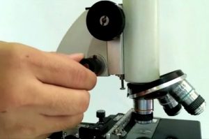 atur mikroskop menggunakan mikrometer untuk memperjelas