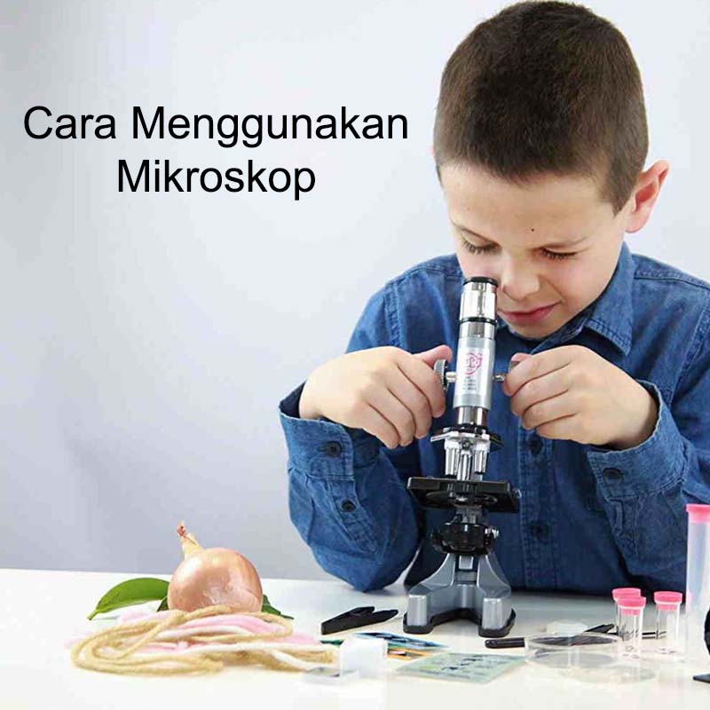 cara menggunakan mikroskop