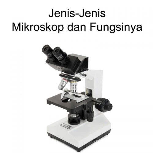 jenis-jenis mikroskop dan fungsinya
