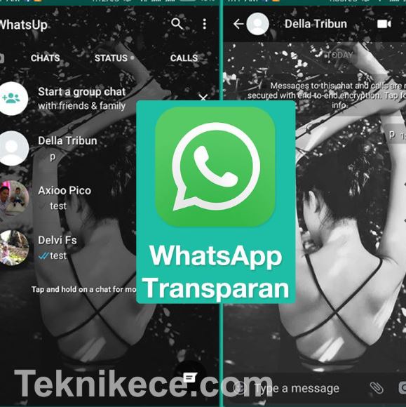 Whatsapp transparan logo