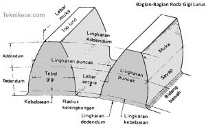 bagian roda gigi lurus